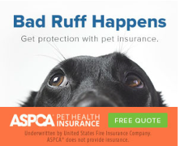 ASPCA Banner Ad